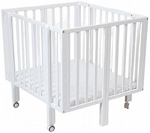 ��� �� ���� ������ ��� ����� Tal baby