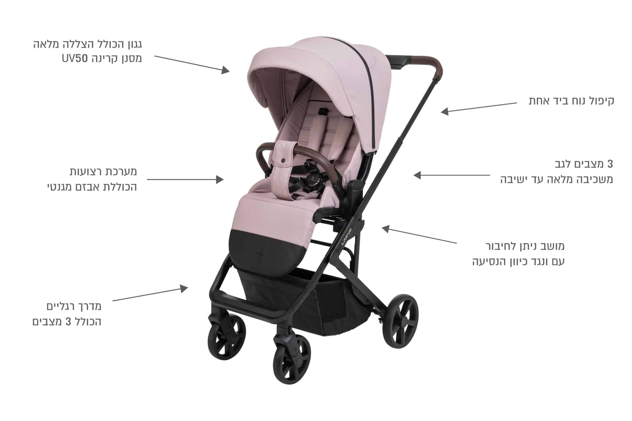���� ����� ��������� ���� Sportline Fold 2025 - ��� ���� | ����� ���� | ���� ����