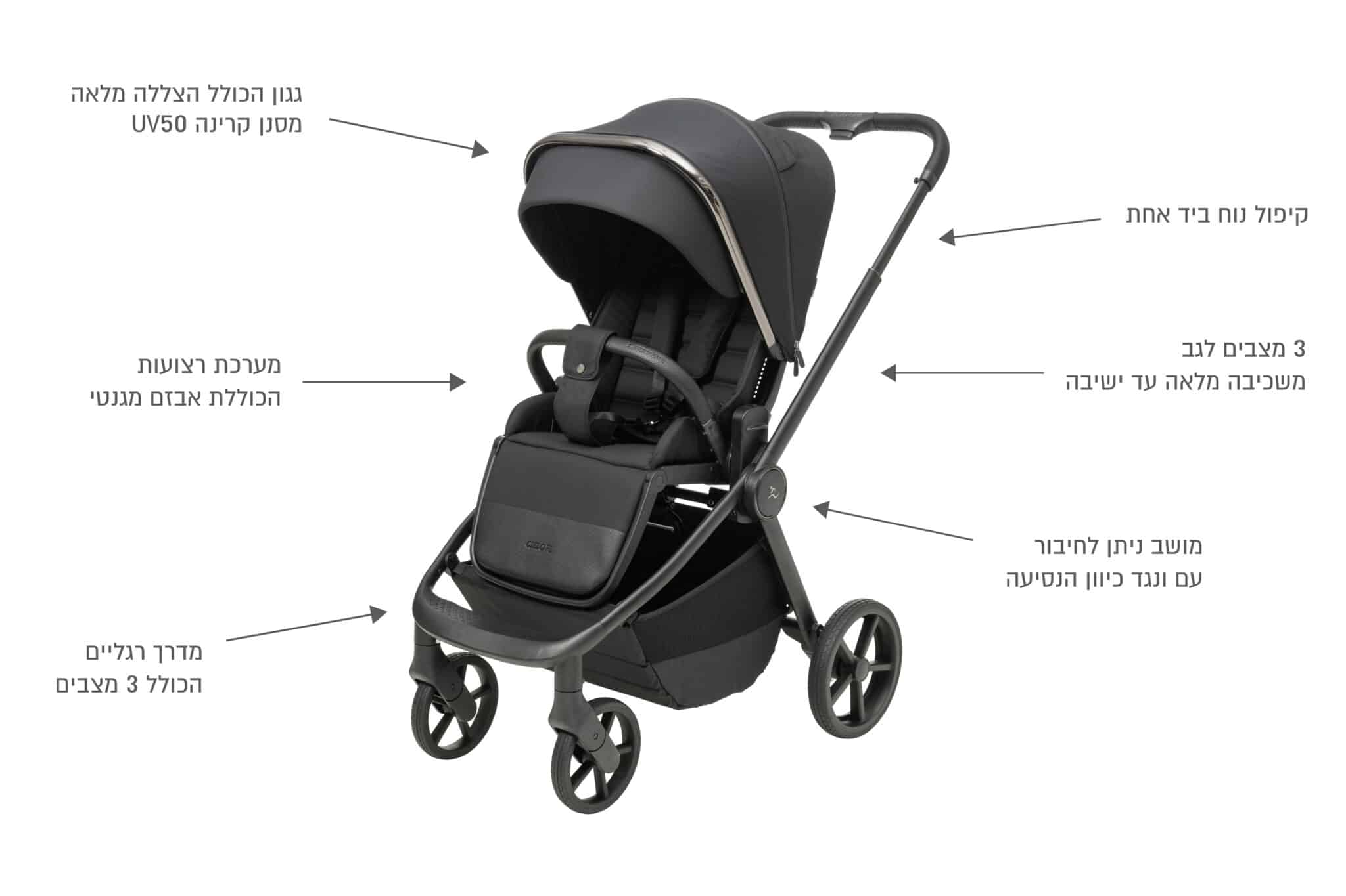 ���� ����� ��������� ����� Sportline Cielo PL 2025 - ��� ���� ���� | ����� ���� | ���� ����