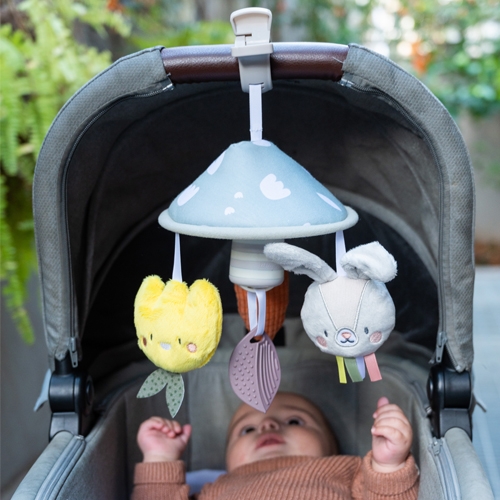 ������ ����� ��� ��������� ����� �������� ���� Taf Toys