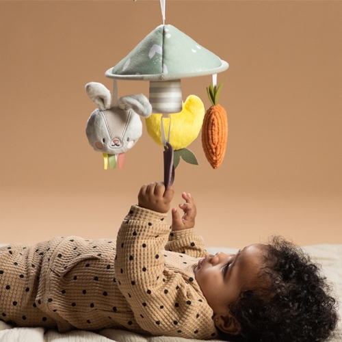 ������ ����� ��� ��������� ����� �������� ���� Taf Toys