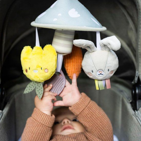 ������ ����� ��� ��������� ����� �������� ���� Taf Toys