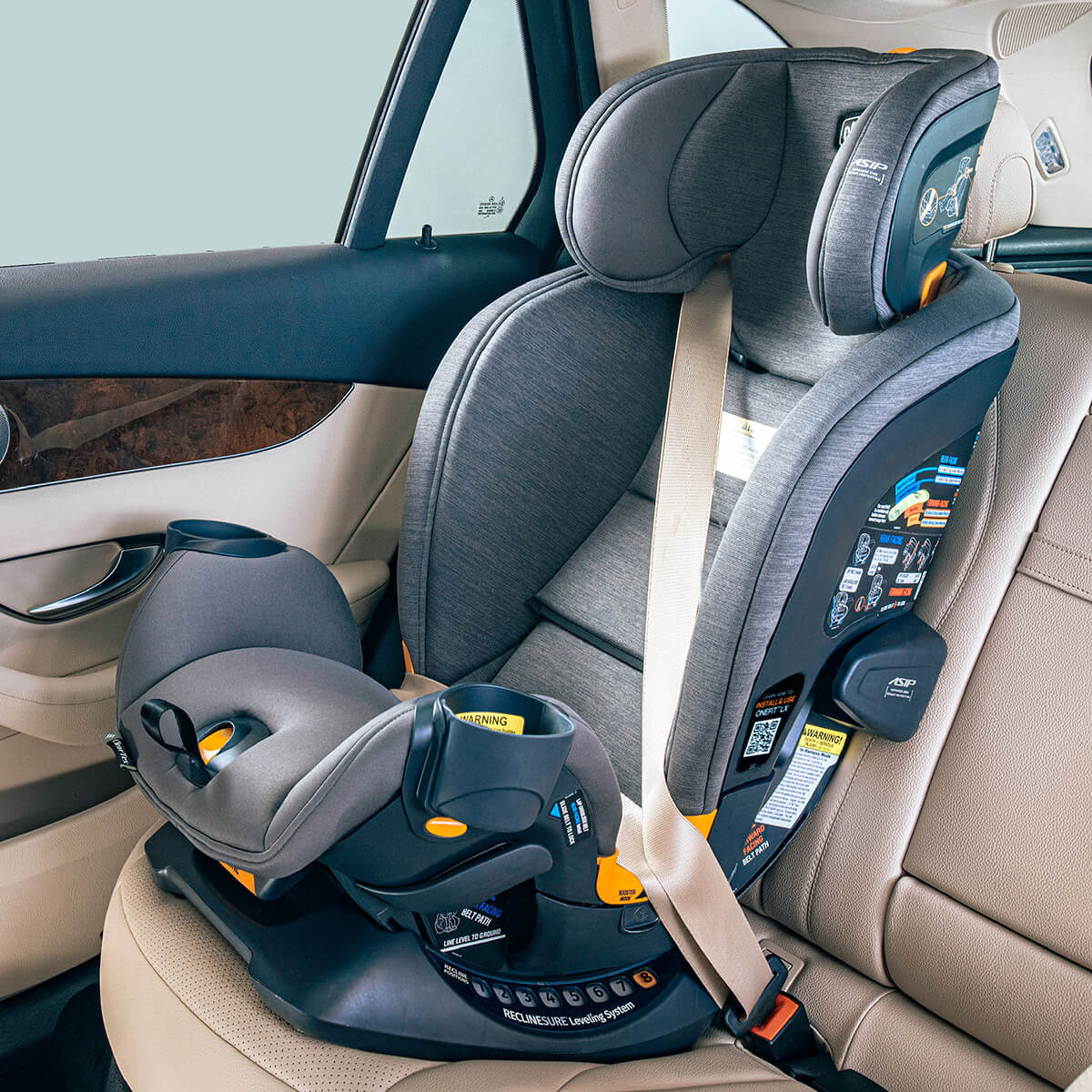 ���� ������ ����� ���� ��� LX ������� � Chicco OneFit LX ClearTex All-in-One Car Seat