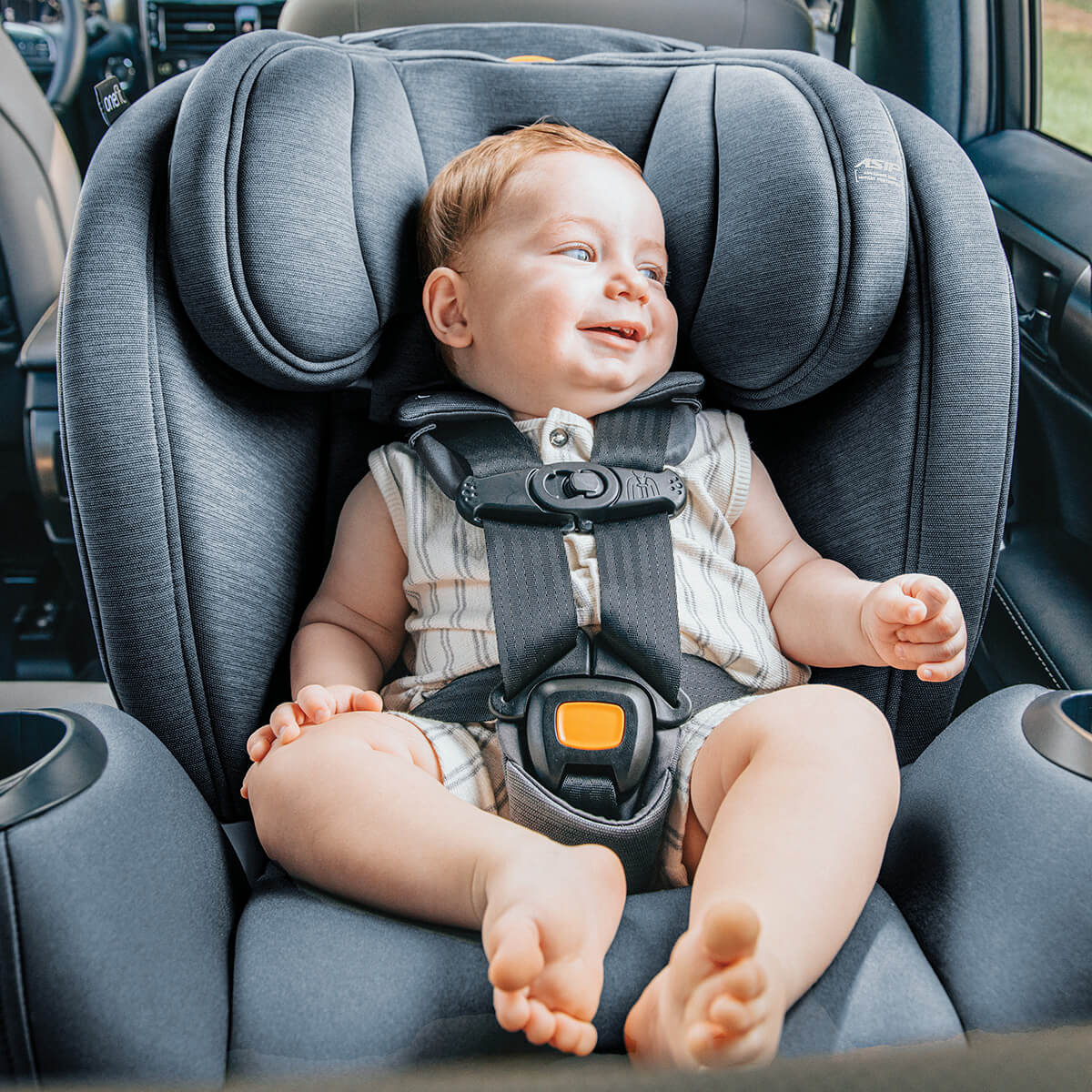 ���� ������ ����� ���� ��� LX ������� � Chicco OneFit LX ClearTex All-in-One Car Seat
