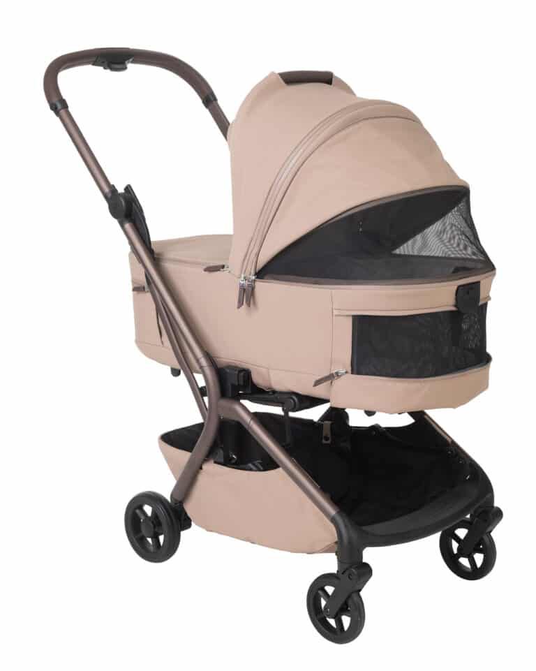 ���� ����� ��������� ����� ������ Sportline UNICO 2026 ������ �����
