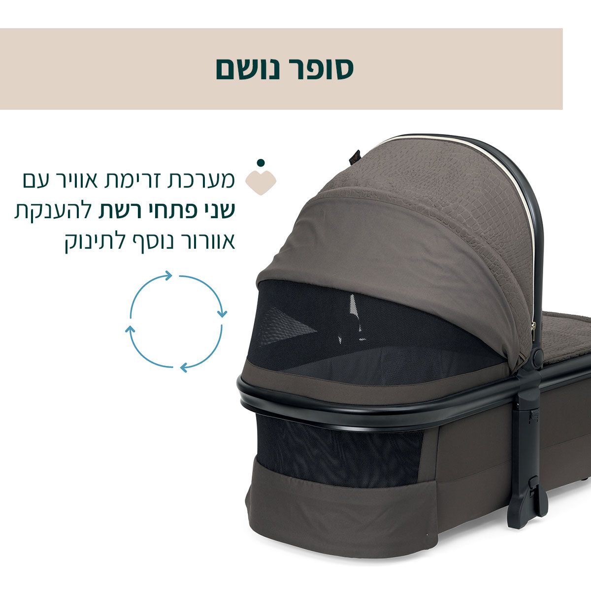 ���� ������ ����� ���� ������ ����� ������ ������ � Chicco Mysa Stroller Bronze Lizard Royal Edition