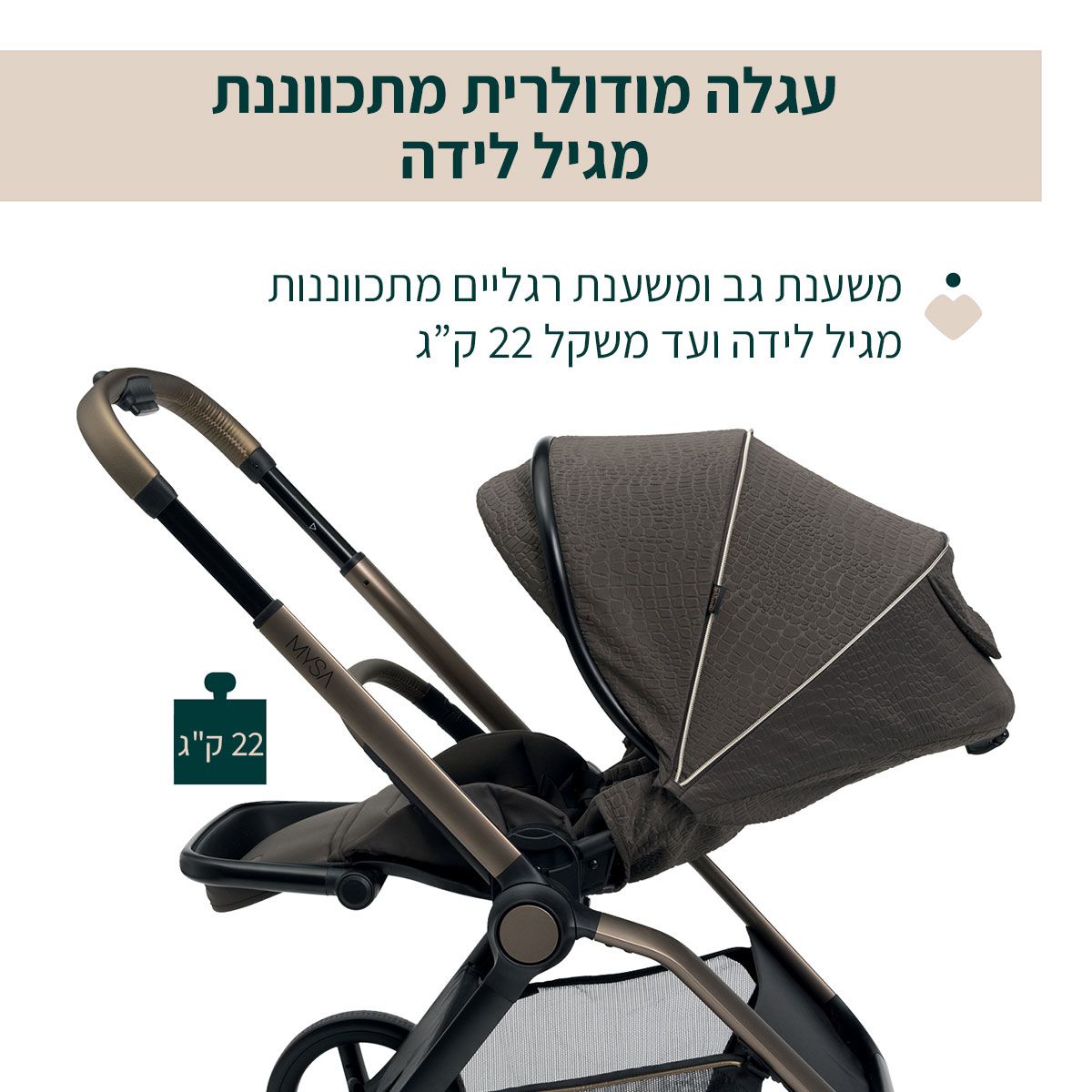 ���� ������ ����� ���� ������ ����� ������ ������ � Chicco Mysa Stroller Bronze Lizard Royal Edition