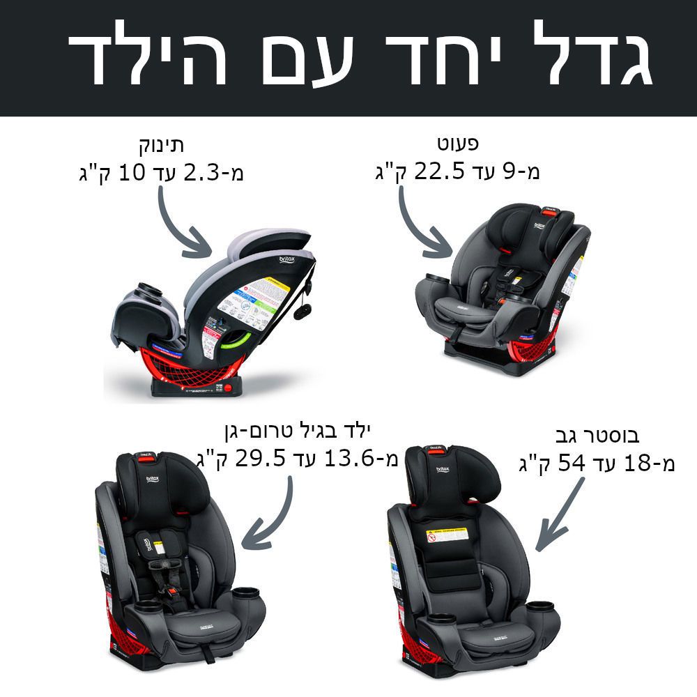 ���� ������ One4Life SafeWash BRITAX ���� 4 ���� ������� ONYX STONE