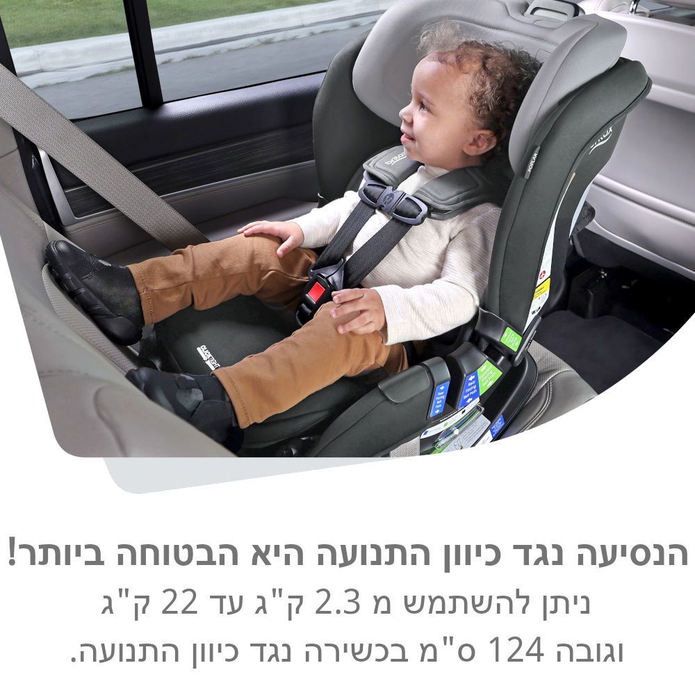 ��� ������ POPLAR ���� BRITAX ��� ����