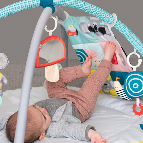 ���������� ������ ������ 4 �-1 �� ���� ����� Taf Toys �� ����