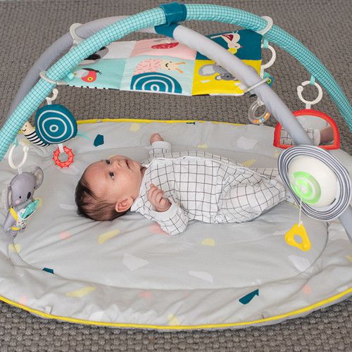 ���������� ������ ������ 4 �-1 �� ���� ����� Taf Toys �� ����