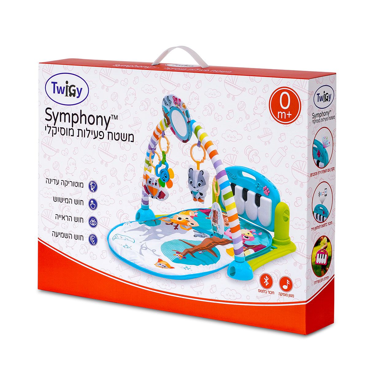 ���� ������ ������ ����� ������� � Twigy Symphony