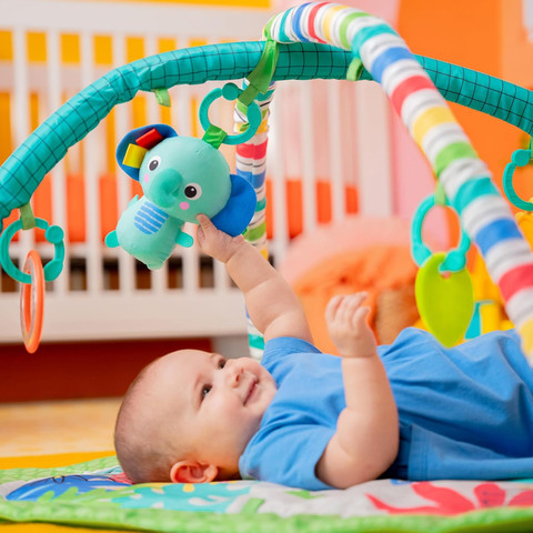 ���� ������ ���� ������ ������ Bright Starts