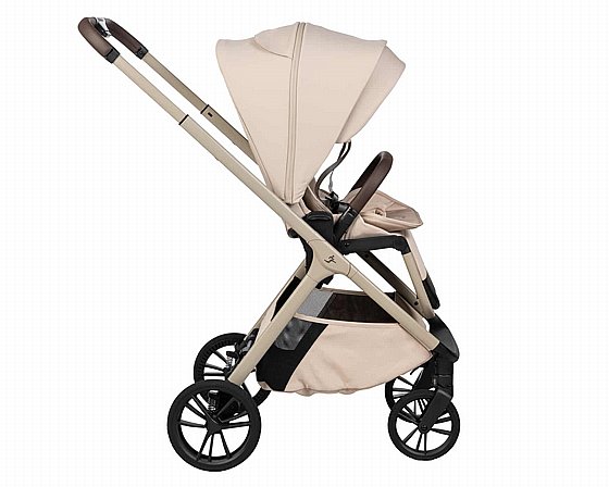 ���� ������ ���� ����� ���� ����� ������� ����� ���� 2026 Sportline ALIX nobility