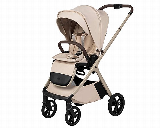 ���� ������ ���� ����� ���� ����� ������� ����� ���� 2026 Sportline ALIX nobility