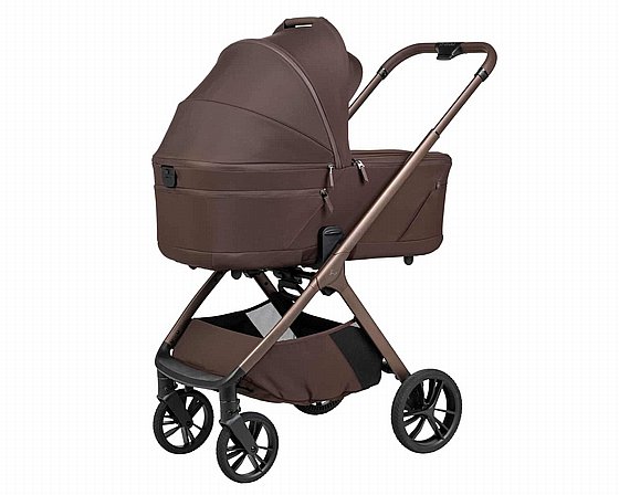 ���� ������ ���� ����� ���� ����� ������� ����� ���� 2026 ������- DARK BROWN Sportline ALIX nobility