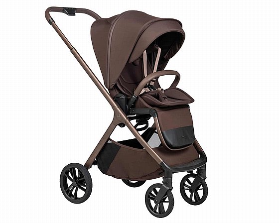 ���� ������ ���� ����� ���� ����� ������� ����� ���� 2026 ������- DARK BROWN Sportline ALIX nobility