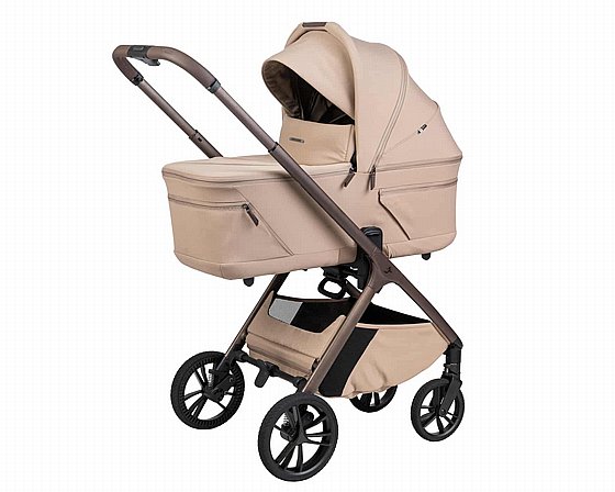 ���� ������ ���� ����� ���� ����� ������� ����� ���� 2026 ����/MOKA  Sportline ALIX nobility
