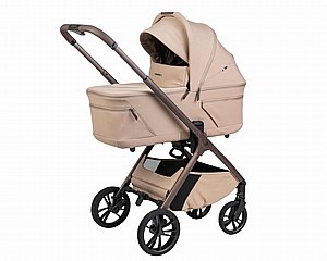 ���� ������ ���� ����� ���� ����� ������� ����� ���� 2026 ����/MOKA  Sportline ALIX nobility