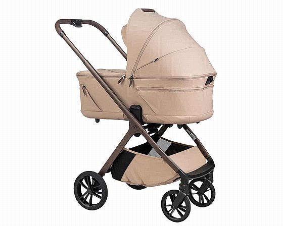 ���� ������ ���� ����� ���� ����� ������� ����� ���� 2026 ����/MOKA  Sportline ALIX nobility