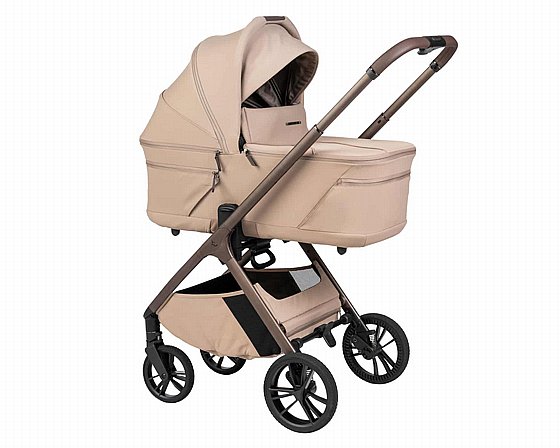 ���� ������ ���� ����� ���� ����� ������� ����� ���� 2026 ����/MOKA  Sportline ALIX nobility