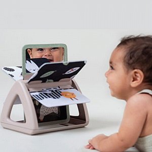 ��� ���� ��� ������ Taf Toys