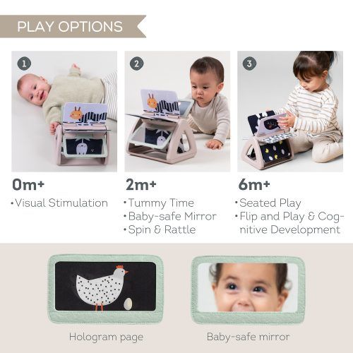 ��� ���� ��� ������ Taf Toys