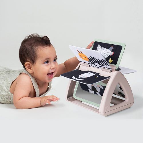 ��� ���� ��� ������ Taf Toys