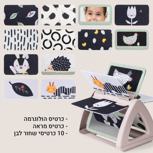 ��� ���� ��� ������ Taf Toys