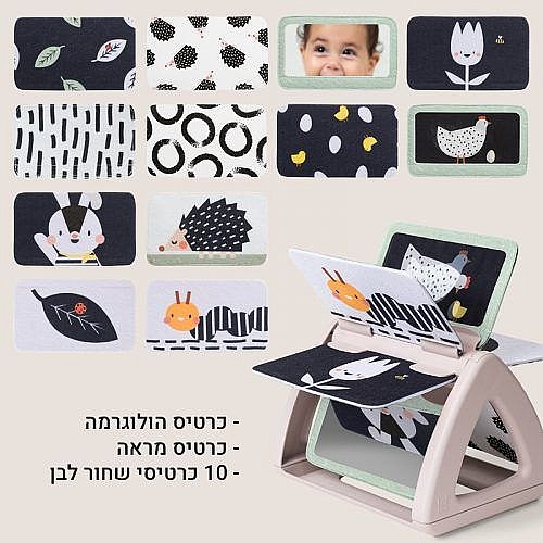��� ���� ��� ������ Taf Toys