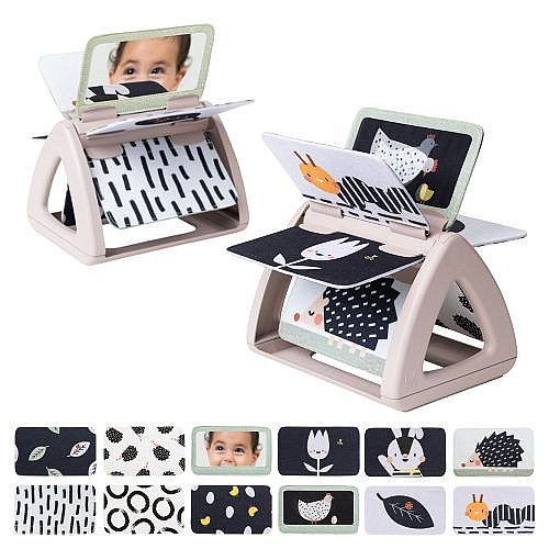 ��� ���� ��� ������ Taf Toys