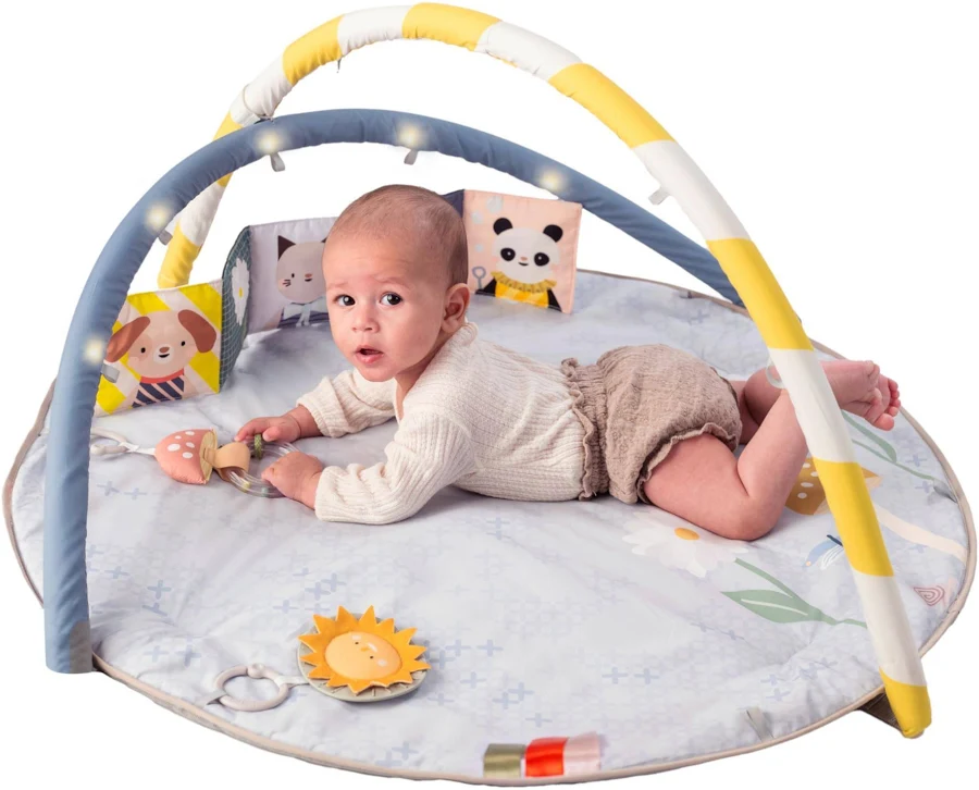 ���������� ����� ������ �� ����� ������, ������ ���� ������� �� ���� - Taf Toys