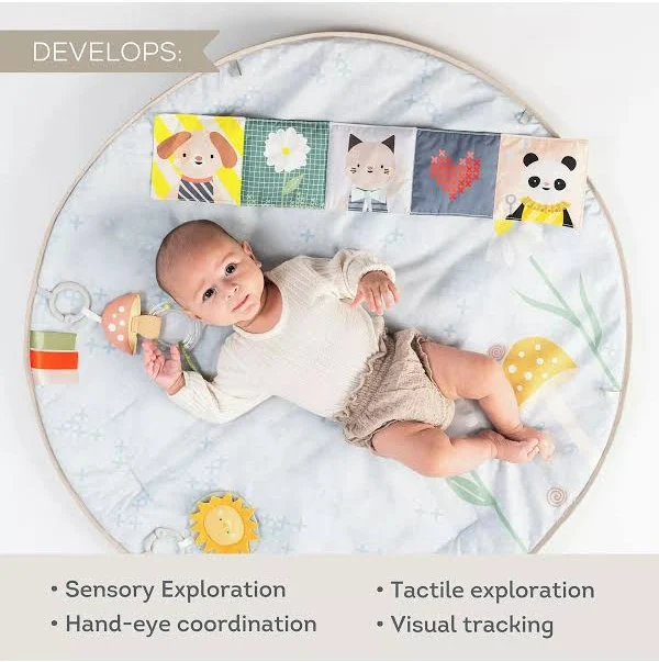 ���������� ����� ������ �� ����� ������, ������ ���� ������� �� ���� - Taf Toys