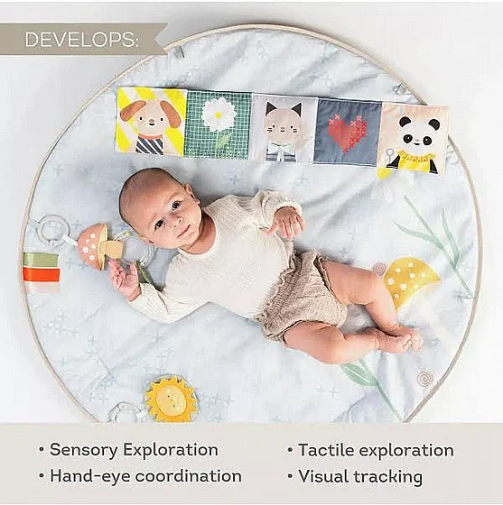 ���������� ����� ������ �� ����� ������, ������ ���� ������� �� ���� - Taf Toys