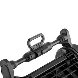 ���� ����� ������ ��� RIO (����) ���� ������� BRITAX