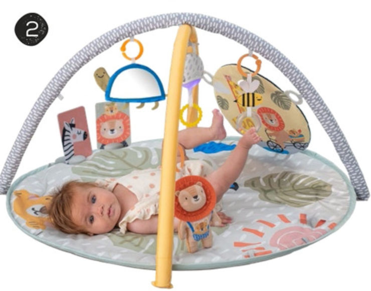 ���������� ������ ������ ������ 360 ���� �� ���� - Taf Toys