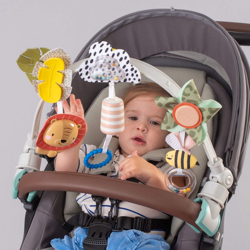 ��� �������� ������ Taf Toys
