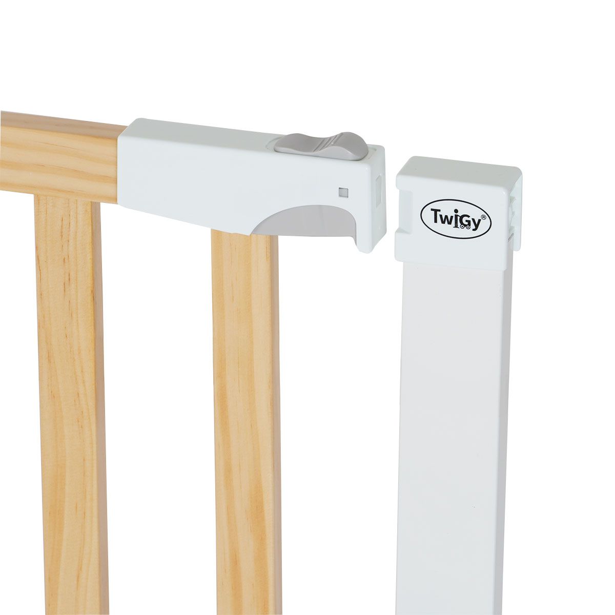 ��� ������ ������ ���� ���� � Twigy GateGuard